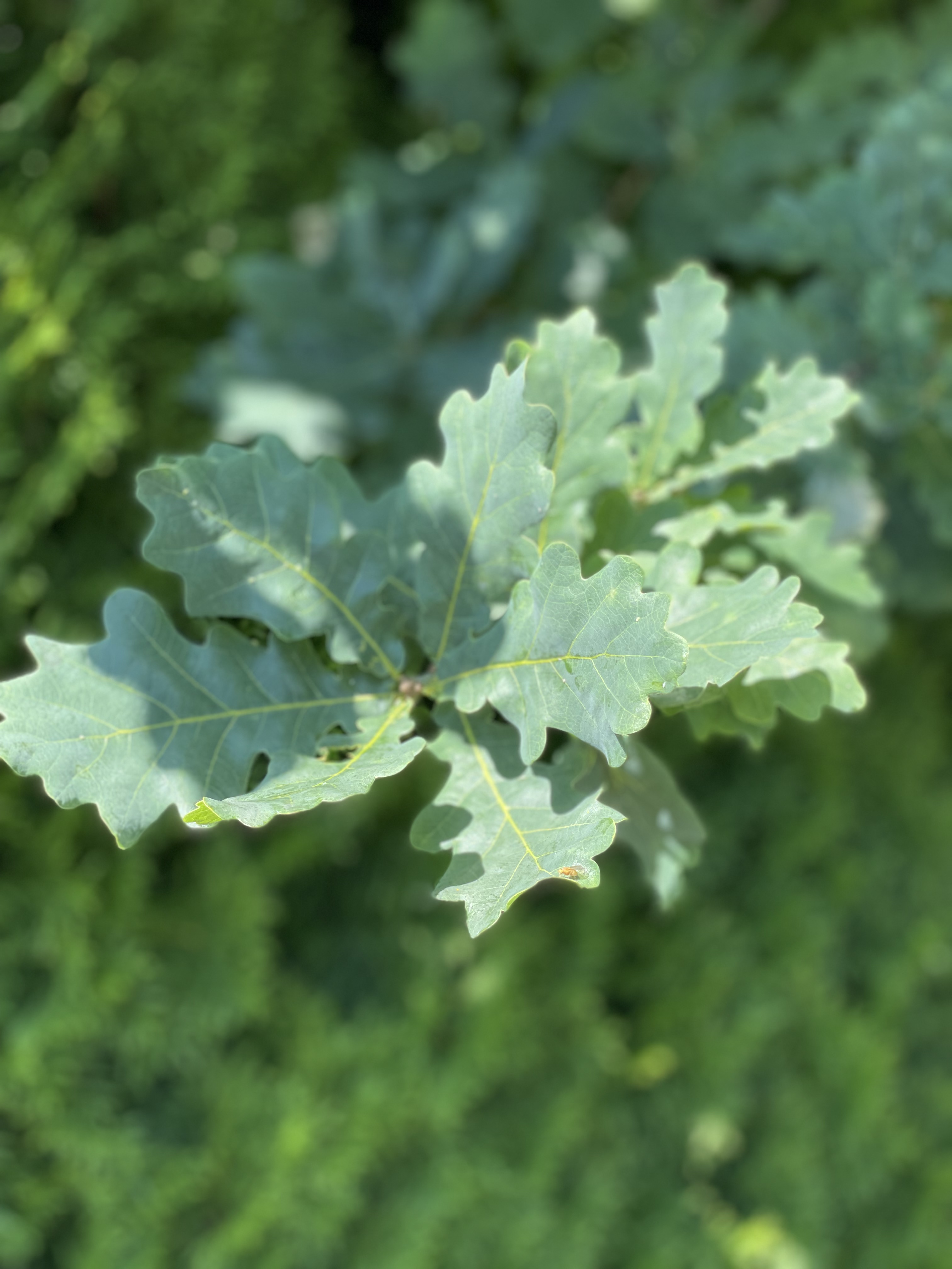 Taiteilija-apurahat tänne